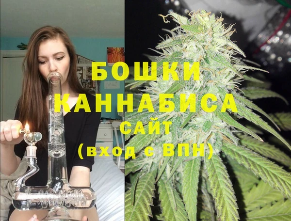 a pvp Дмитров