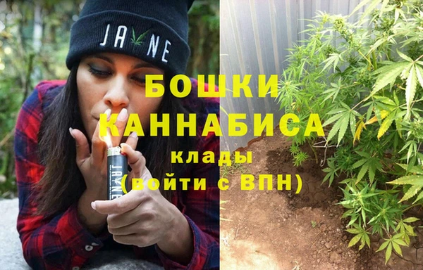 a pvp Дмитров