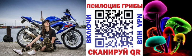 Псилоцибиновые грибы Psilocybe  даркнет состав  Горячеводский  блэк спрут сайт 
